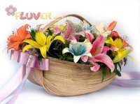 Basket of Assorted Lilies