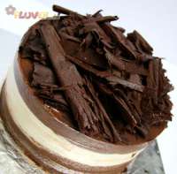 Chocolate Mousse Expresso Cake