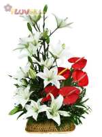 White Lilies and Anthuriums