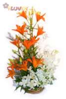 Orange Lilies and White Orchids