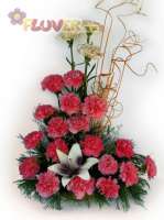 An Arrangement of Carnations