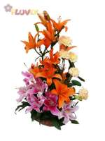 Tropical Lilies and Carnations