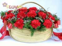 Red Carnations in a Basket