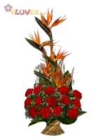 Birds of Paradise with Red Carnations