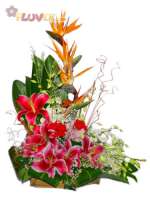 An Arrangement of Tropical Flowers