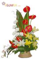 An Arrangement of Lilies, Carnations and Anthuriums