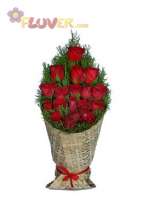 Red Roses in a Weave-wrap
