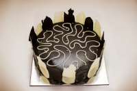 Zebra Truffle Cake