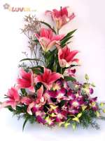 Lilies & Orchids (Valentine's Special)