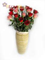 20 Roses (with your choice of colour) (Valentine's Special)